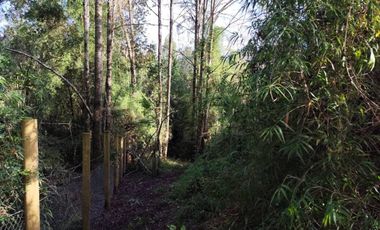 PARCELA 10.589 M2 CON ORILLA DE ESTERO EN PARQUE ECOLOGICO CASAHUE, LONCOCHE