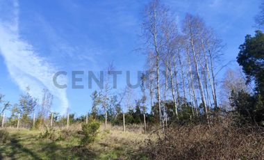 PARCELA 10.589 M2 CON ORILLA DE ESTERO EN PARQUE ECOLOGICO CASAHUE, LONCOCHE