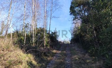 PARCELA 10.589 M2 CON ORILLA DE ESTERO EN PARQUE ECOLOGICO CASAHUE, LONCOCHE