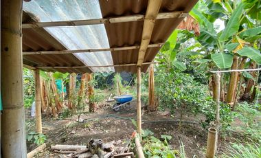 Se Vende Finca Montelargo- Pereira