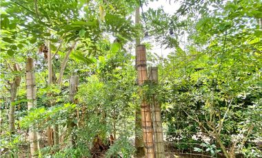 Se Vende Finca Montelargo- Pereira