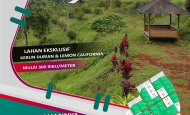 Tanah Kebun Produktif Gratis Biaya Akta Jual Beli