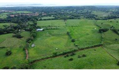 Venta de finca lechera en Montijo (Mariatos) GTA
