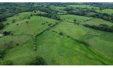Venta de finca lechera en Montijo (Mariatos) GTA