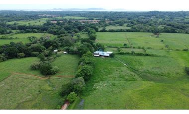 Venta de finca lechera en Montijo (Mariatos) GTA