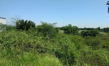 VENTA 4 Lotes Campestres en La CIENEGUITA a 800 m Carr. Juarez-Santiago, Tranqui