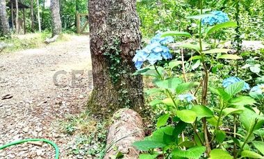 ACOGEDORA CASA 4D 2B EN PARCELA RODEADA DE BOSQUE, PUCÓN LONCOTRARO