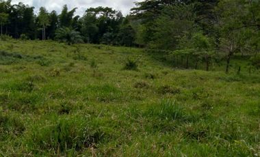 LOTE PARA VENTA EN RISARALDA CALDAS
