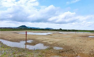 VIA SAMBORONDON TERRENO INDUSTRIAL VENTA EN PARQUE INDUSTRIAL 10.000 M2.