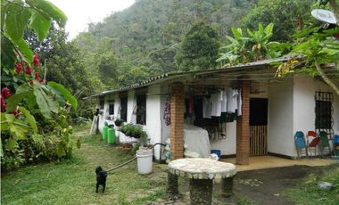EXCELENTE FINCA ECOTURISTICA EN PANCE CALI VALLE DEL CAUCA