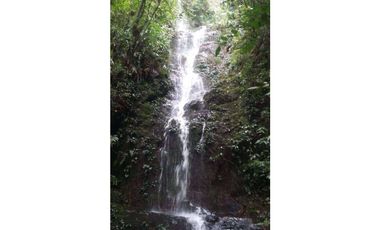 EXCELENTE FINCA ECOTURISTICA EN PANCE CALI VALLE DEL CAUCA