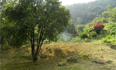 EXCELENTE FINCA ECOTURISTICA EN PANCE CALI VALLE DEL CAUCA