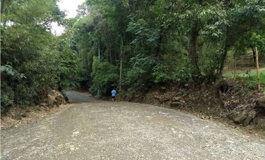 EXCELENTE FINCA ECOTURISTICA EN PANCE CALI VALLE DEL CAUCA