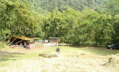 EXCELENTE FINCA ECOTURISTICA EN PANCE CALI VALLE DEL CAUCA