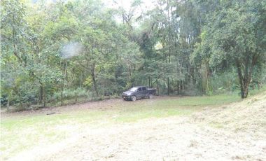 EXCELENTE FINCA ECOTURISTICA EN PANCE CALI VALLE DEL CAUCA
