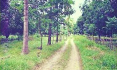 Terreno para inversión comercial en venta en Tierra Blanca, Veracruz.