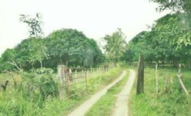 Terreno para inversión comercial en venta en Tierra Blanca, Veracruz.