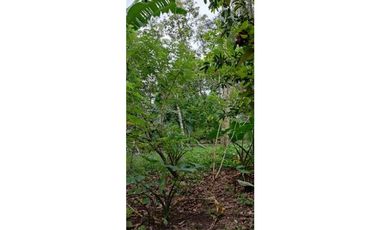 VENDO CASA CON TERRENO DE 2000M2 EN SANTO DOMINGO