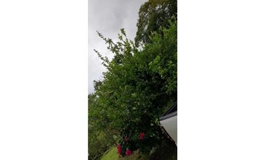 VENDO CASA CON TERRENO DE 2000M2 EN SANTO DOMINGO