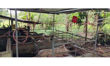 VENDO CASA CON TERRENO DE 2000M2 EN SANTO DOMINGO