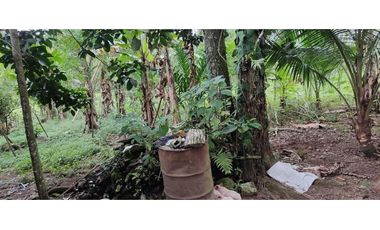 VENDO CASA CON TERRENO DE 2000M2 EN SANTO DOMINGO