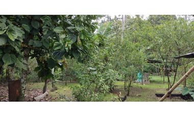 VENDO CASA CON TERRENO DE 2000M2 EN SANTO DOMINGO