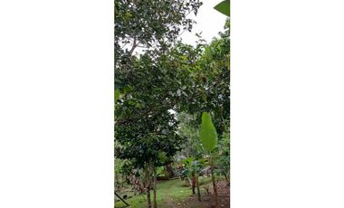 VENDO CASA CON TERRENO DE 2000M2 EN SANTO DOMINGO