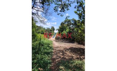 En Venta: ¡Terreno En El Sector Algarrobo! Con Increíble Vista A La Montaña.