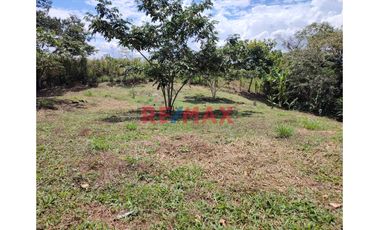 En Venta: ¡Terreno En El Sector Algarrobo! Con Increíble Vista A La Montaña.