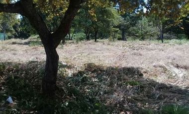 Amplio terreno en Coronado Golf (ID 12065)
