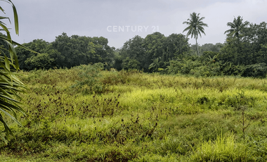 Dijual Tanah SMH Sawah Dekat Pasar Godean