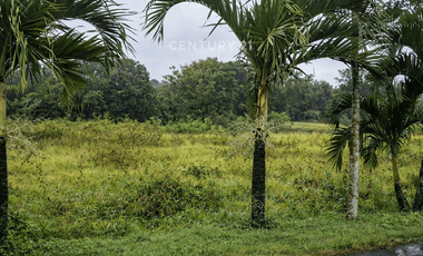 Dijual Tanah SMH Sawah Dekat Pasar Godean