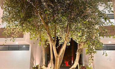 Departamento en Preventa de 2 Recámaras con Jardín en Mérida