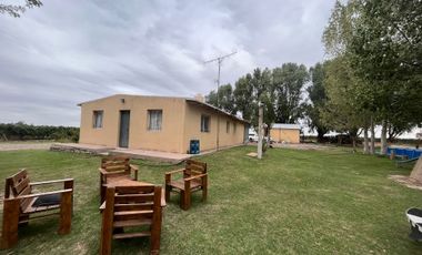 Venta finca Barrancas, Mendoza, 60 hectareas