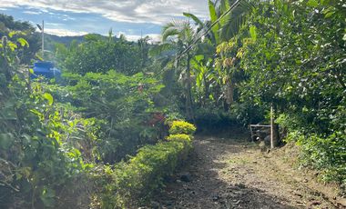 finca en venta en vereda doima. Cod V2609