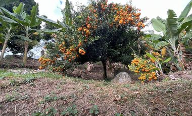 finca en venta en vereda doima. Cod V2609