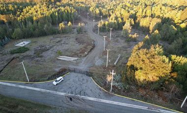 Vendo parcela de 5000 m2 COMUNA DE MAULLIN