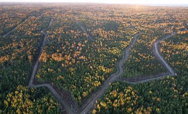 Vendo parcela de 5000 m2 COMUNA DE MAULLIN