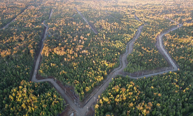 Vendo parcela de 5000 m2 COMUNA DE MAULLIN