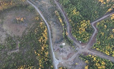 Vendo parcela de 5000 m2 COMUNA DE MAULLIN