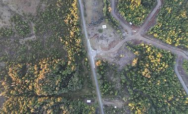 Vendo parcela de 5000 m2 COMUNA DE MAULLIN