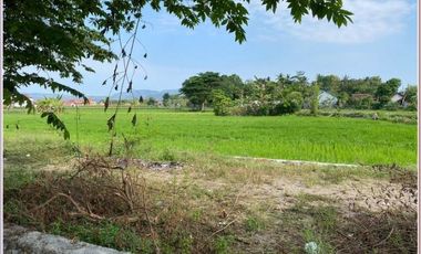 Villa Klasik Apik Bisa Konsultasi Desain di Prambanan