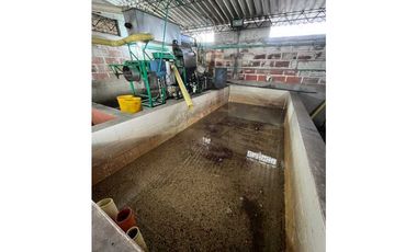 VENTA FINCA CAFETERA TMESIS SAN PABLO, SUROESTE ANTIOQUEÑO