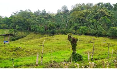 VENTA FINCA CAFETERA TMESIS SAN PABLO, SUROESTE ANTIOQUEÑO