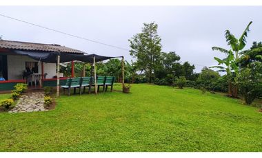 VENTA FINCA CAFETERA TMESIS SAN PABLO, SUROESTE ANTIOQUEÑO