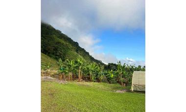 VENTA FINCA CAFETERA TMESIS SAN PABLO, SUROESTE ANTIOQUEÑO