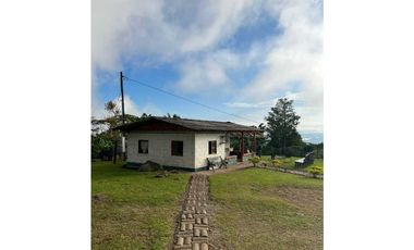 VENTA FINCA CAFETERA TMESIS SAN PABLO, SUROESTE ANTIOQUEÑO