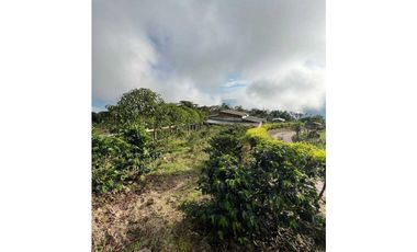 VENTA FINCA CAFETERA TMESIS SAN PABLO, SUROESTE ANTIOQUEÑO