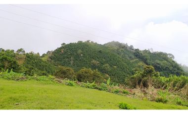 VENTA FINCA CAFETERA TMESIS SAN PABLO, SUROESTE ANTIOQUEÑO