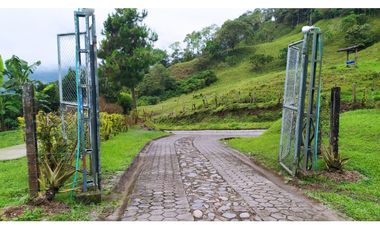 VENTA FINCA CAFETERA TMESIS SAN PABLO, SUROESTE ANTIOQUEÑO